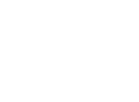 Sina Global Solutions